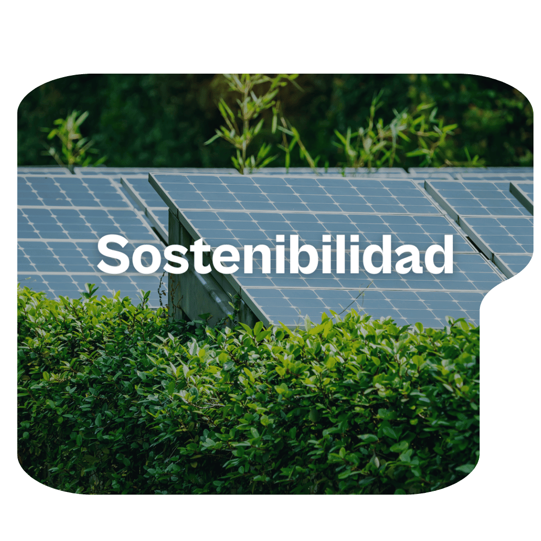 Sostenibilidad